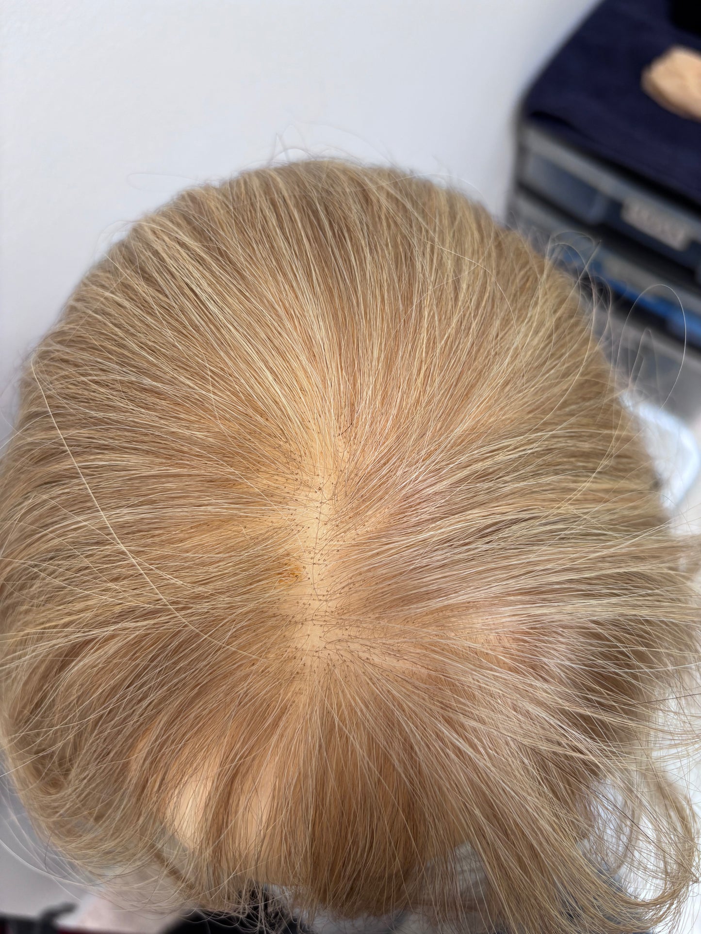 Agacci Wig